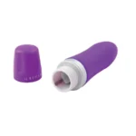 Esplora nuove sensazioni con il vibratore bullet Bcute Classic Viola di B Swish