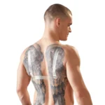 Cottelli Collection Strap-on Silicone Breasts A high-quality image of the Cottelli Collection Strap-on Breasts.