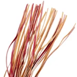 Fetish Submissive Dark Room Flogger Vegan Leather Experience the perfect blend of elegance and authority with the Dark Room Flogger Vegan Leather.