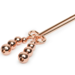 un sex toy di lusso.