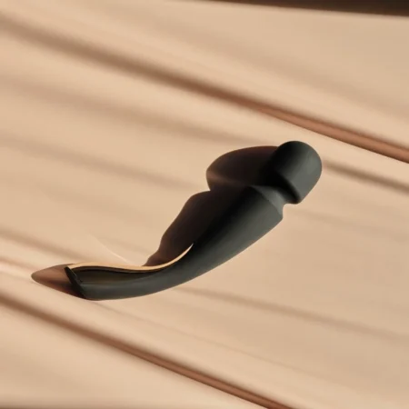 LELO SMART WAND™ 2 Medium (available in Aquamarine and Black and Violet) A high-quality image of the LELO SMART WAND™ 2 Medium.