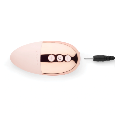 Le Wand Point Rechargeable Vibrator. Unleash pleasure with the Le Wand Point