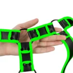 L'Imbracatura Integrale in Pelle Bonded Fluorescente di Ouch! trasforma il gioco bondage con dettagli che brillano al buio.