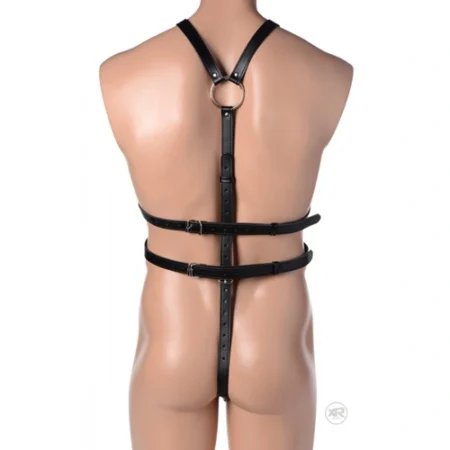this quality harness fits most male bodies